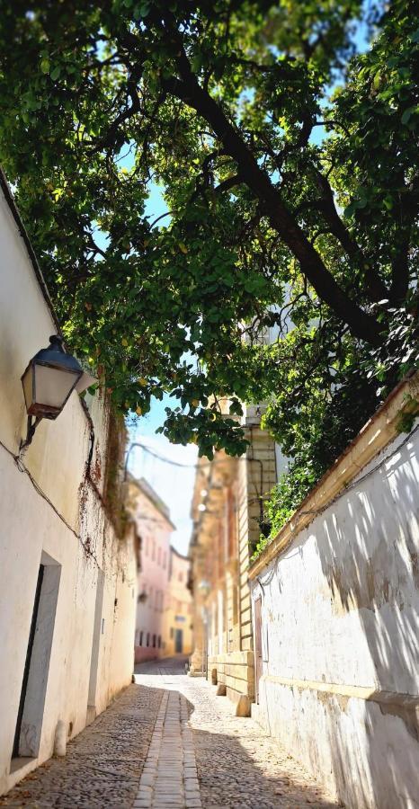 El Rinconcito De Noa Apartment Jerez de la Frontera Exterior foto